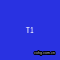 T1